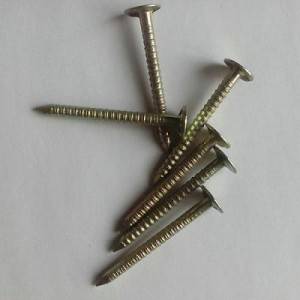 Galvanized ring shank roofing nails
