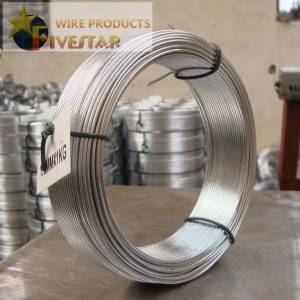 1KG Galvanized wire