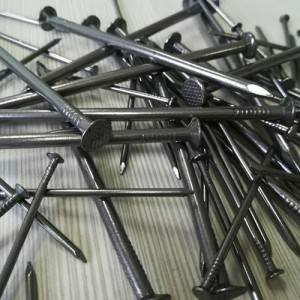 Factory supplied A580 Stainless Steel Wire -
 Common Round Nails – Five-Star Metal