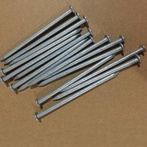 Hot Dipped Galvanized Common nails