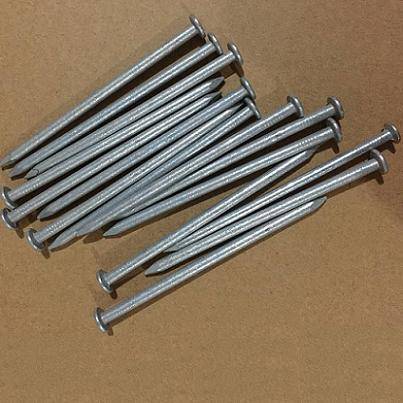 Hot Dipped Galvanized Common nails Featured Image