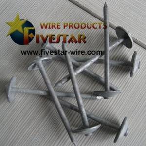 Hot dipped galvanized Umbrella head smooth shank roofing nails