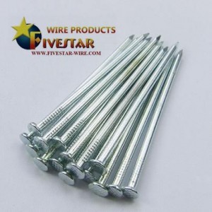 Electro galvanized common nails