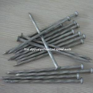 Hot dipped galvanized spiral shank nails