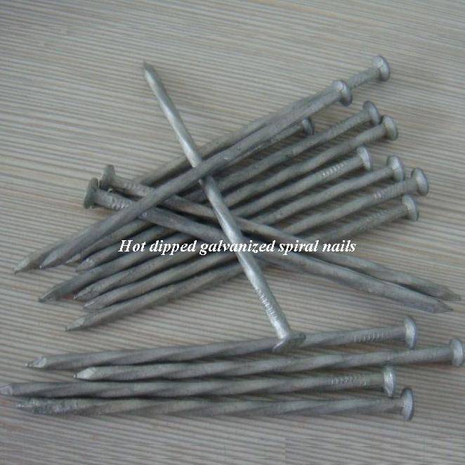 Hot dipped galvanized spiral shank nails Featured Image